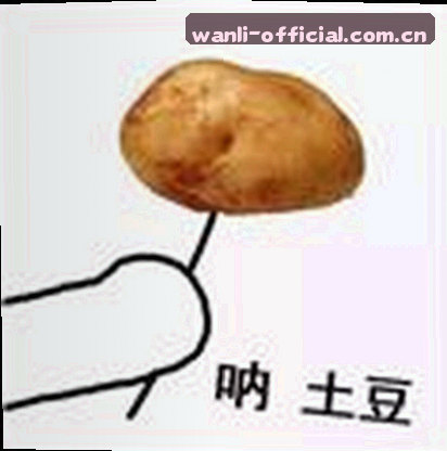 黄婷